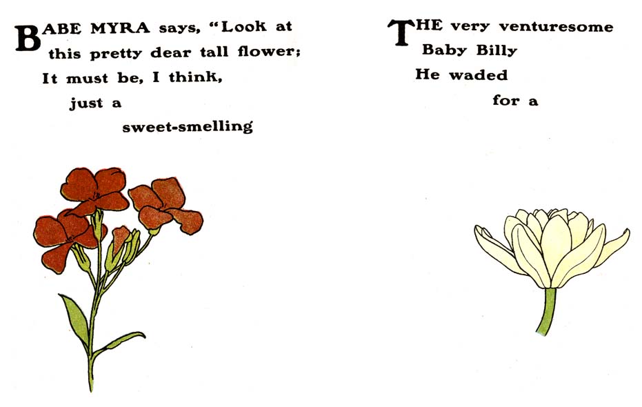 Wallflower---Waterlily