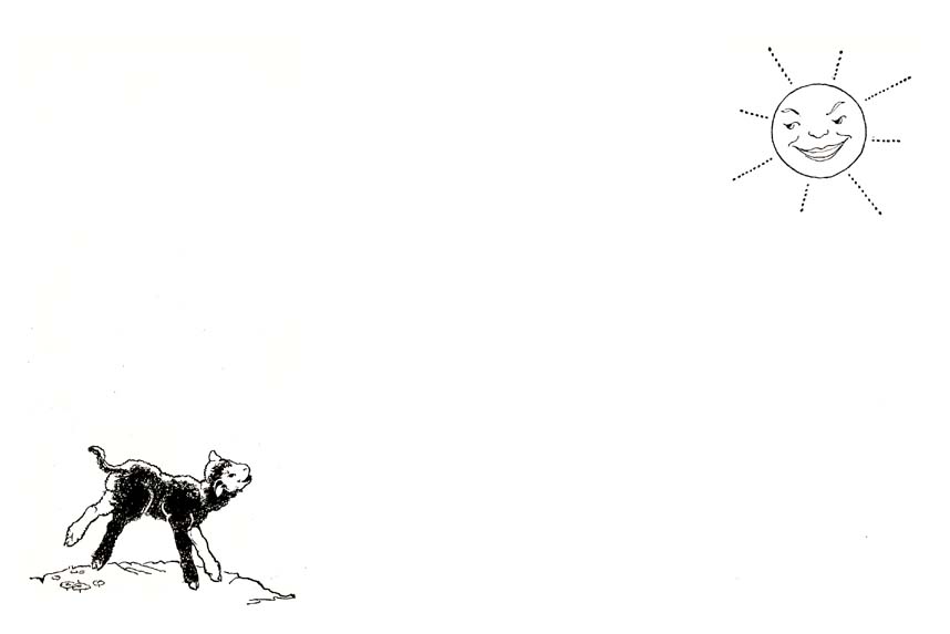 13_The_Little_Black_and_White_Lamb_