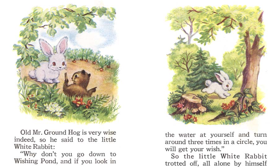 08_The_Little_Rabbit_Who_Wanted_Red_Wings