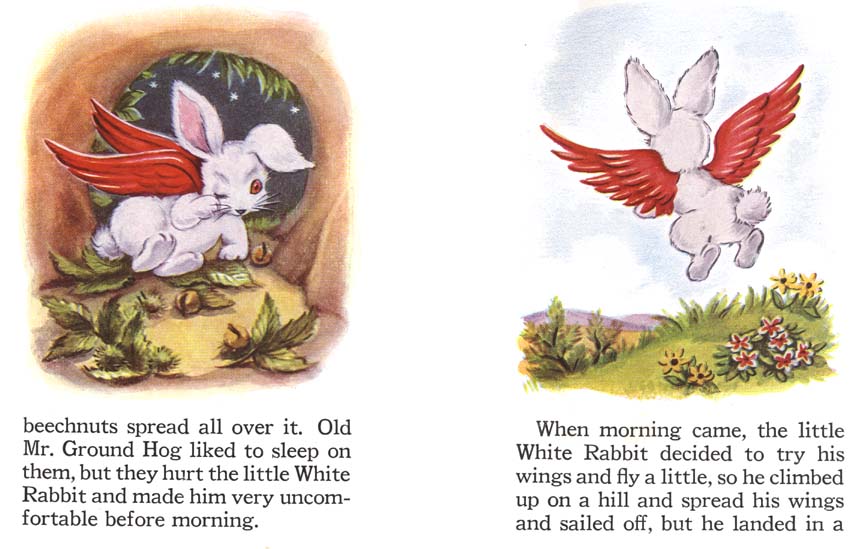 15_The_Little_Rabbit_Who_Wanted_Red_Wings
