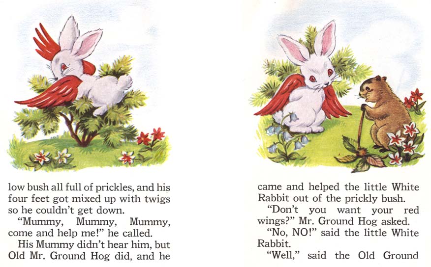 16_The_Little_Rabbit_Who_Wanted_Red_Wings