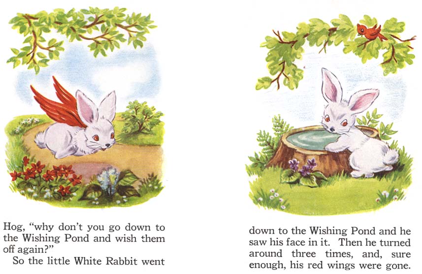 17_The_Little_Rabbit_Who_Wanted_Red_Wings