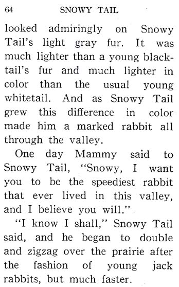 33_Snowy_Tail