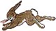 bunny2.jpg