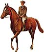 dobbin.jpg