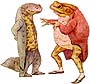 newt-frog.jpg